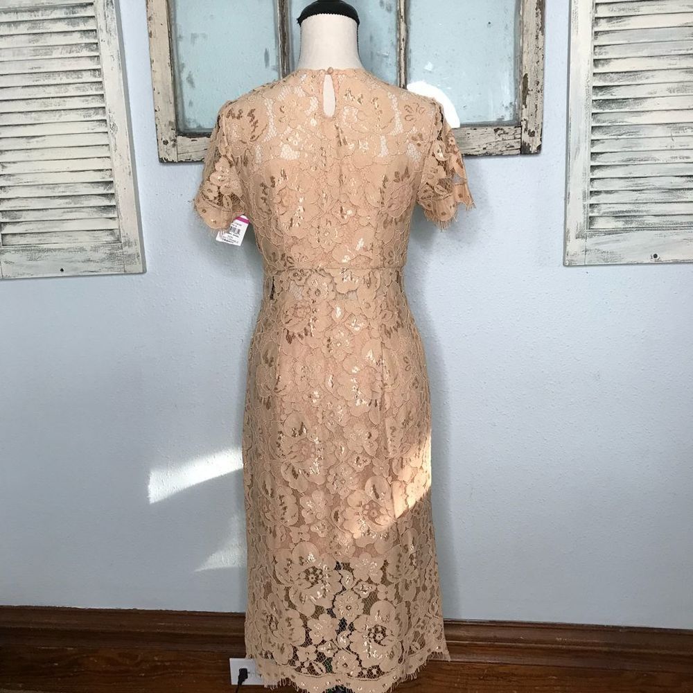 Beautiful NWT NSR Dress - Picture 8 of 14
